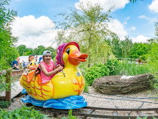 Kolejka Wesołe Kaczuszki