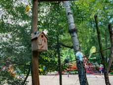 Rajskie ptaki - Papugarnia