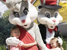 Króliczkowe Wygibasy