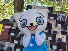 Wygibasy z Kicią Kocią