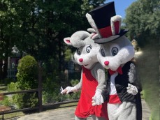 Chillout z Farmusiem i Iluzją