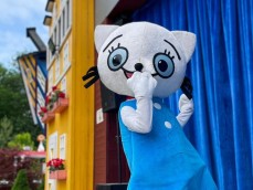 Dzień z Kicią Kocią