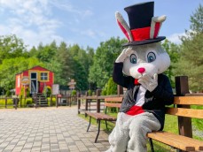 Zabawy z Farmusiem na polanie animacyjnej